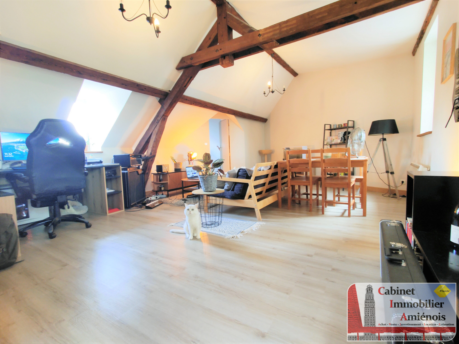 Image_, Appartement, Amiens, ref :Bld_Mail_Albert_Amiens